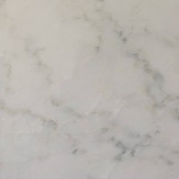 Calcatta Oro Marble